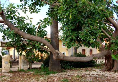 Agriturismo Il Giardino del Sole